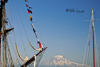 Masts and Mountain-005
