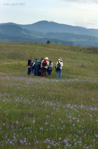 Exploring the prairie