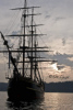 HMS Bounty-0596